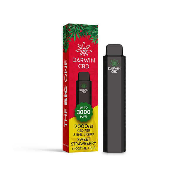 Darwin Big One 2000mg CBD Disposable Vape 3000 Puffs